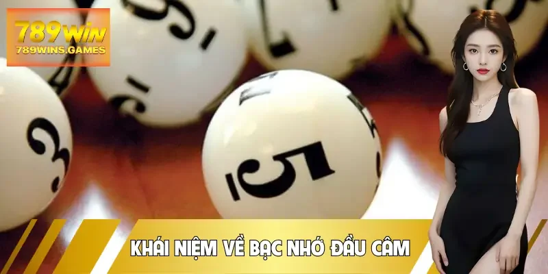 bac-nho-dau-cam-khai-niem