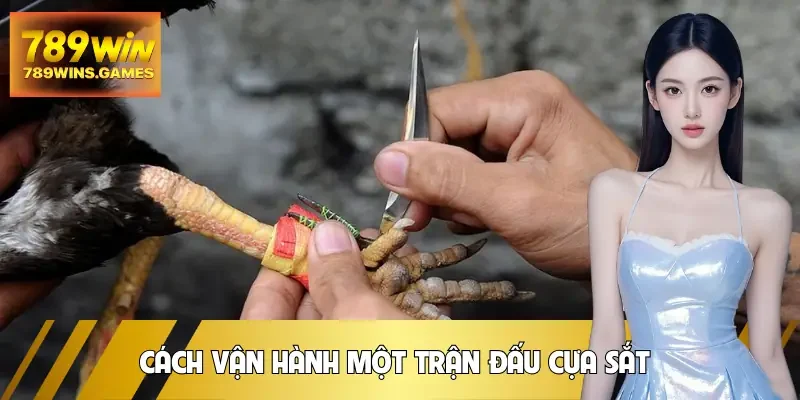 da-ga-cua-sat-cach-van-hanh