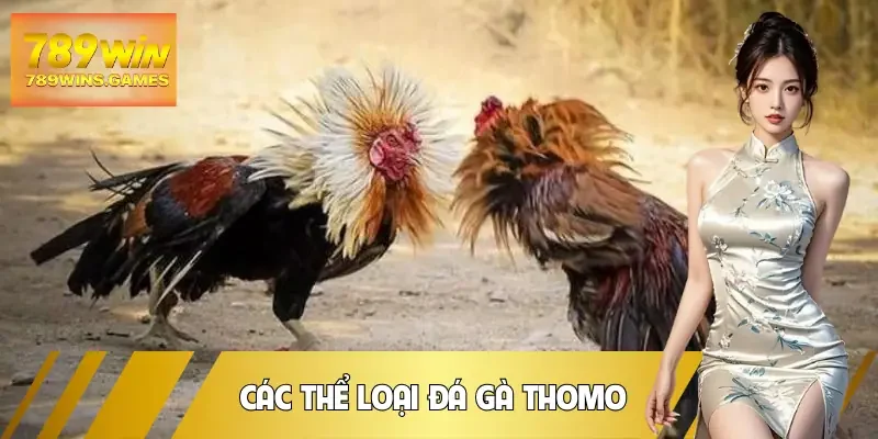 da-ga-thomo-cac-loai-hinh