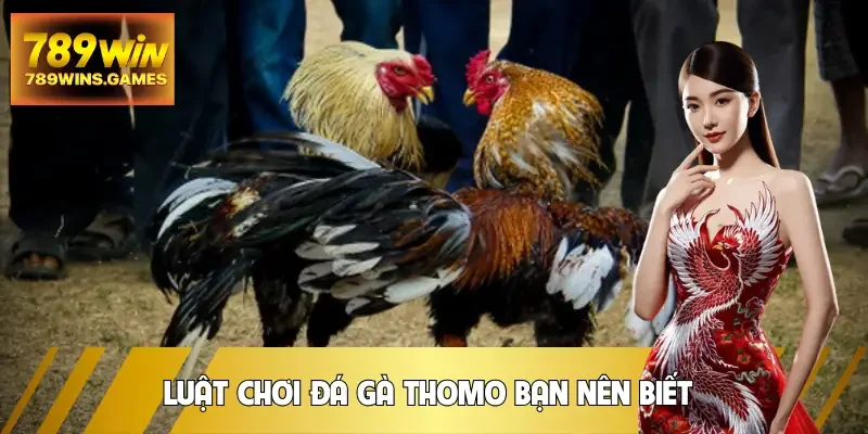da-ga-thomo-luat-choi