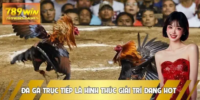 da-ga-truc-tiep-hinh-thuc-giai-tri