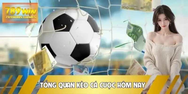 keo-ca-cuoc-hom-nay-tong-quan