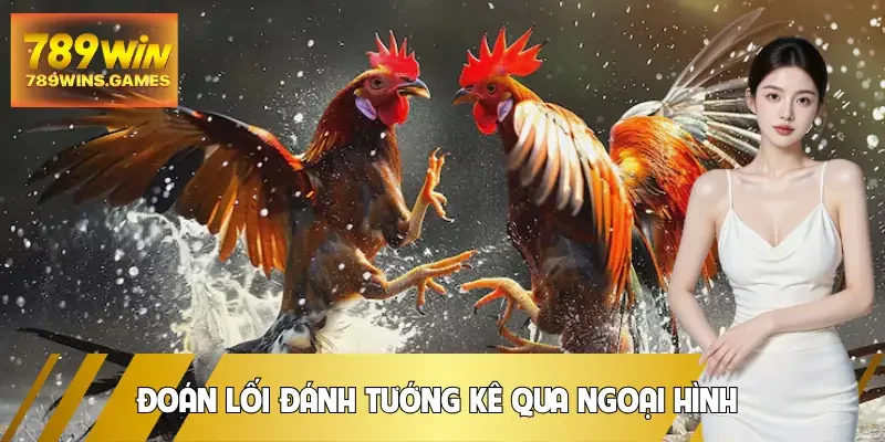 tuong-ga-choi-than-ke-doan-loi-danh